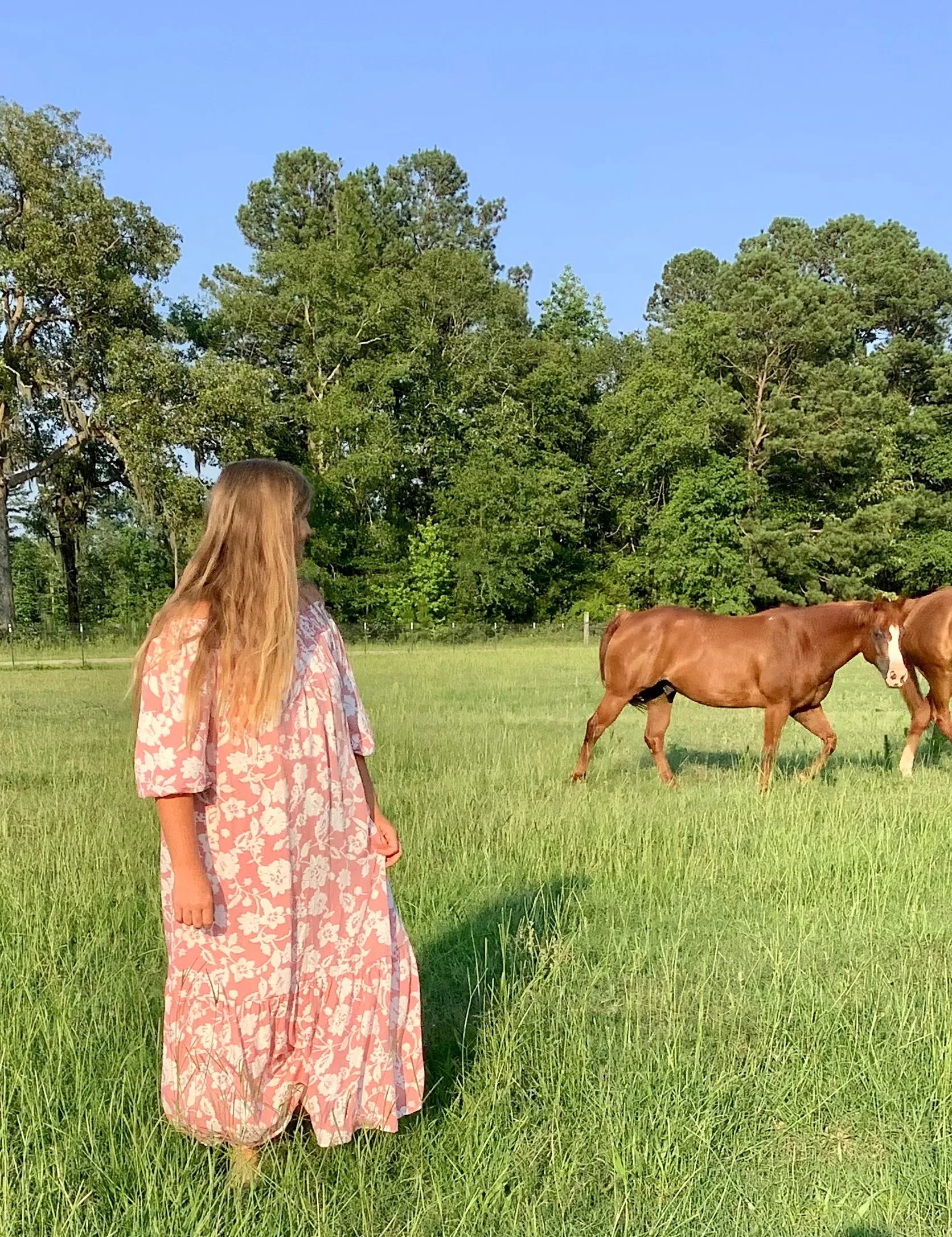 The “Pretty Prairie” dress