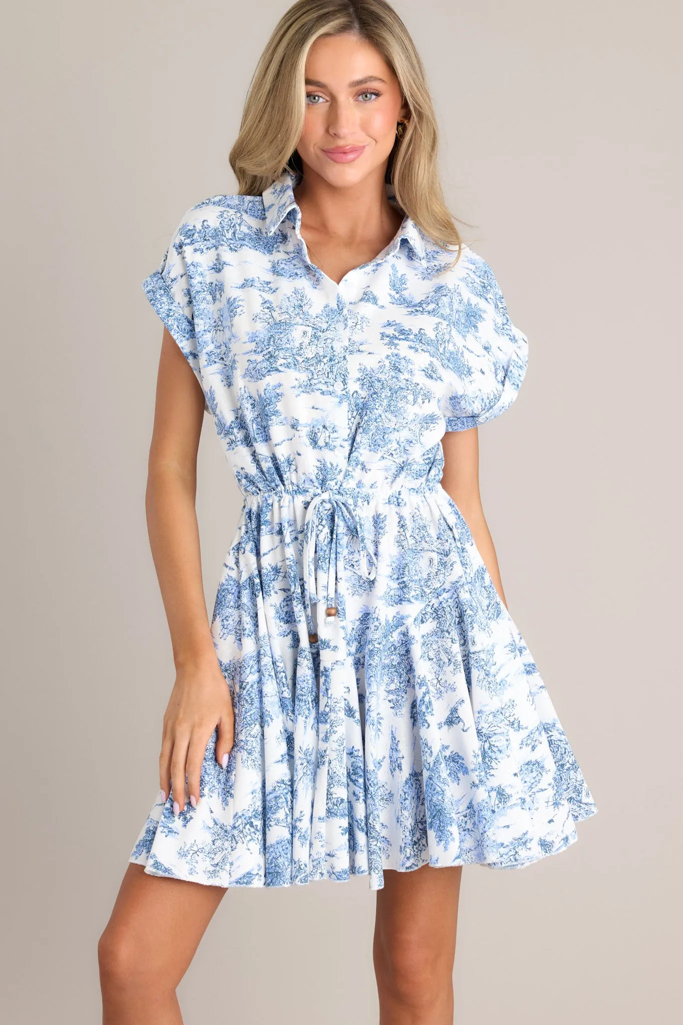Time After Time Blue Toile Mini Dress