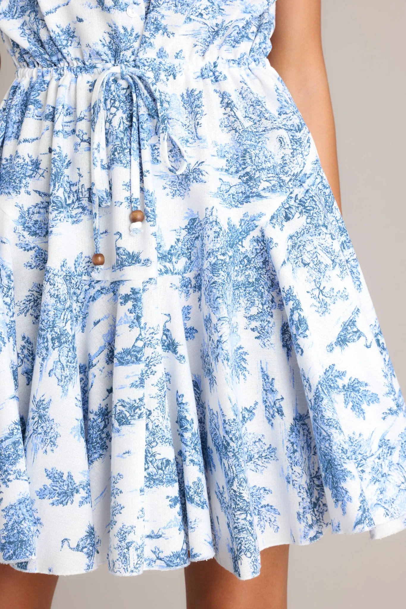 Time After Time Blue Toile Mini Dress